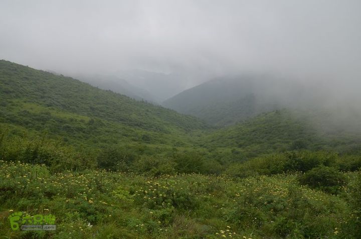 东佛沟-高山草甸-东平沟DSC_0197