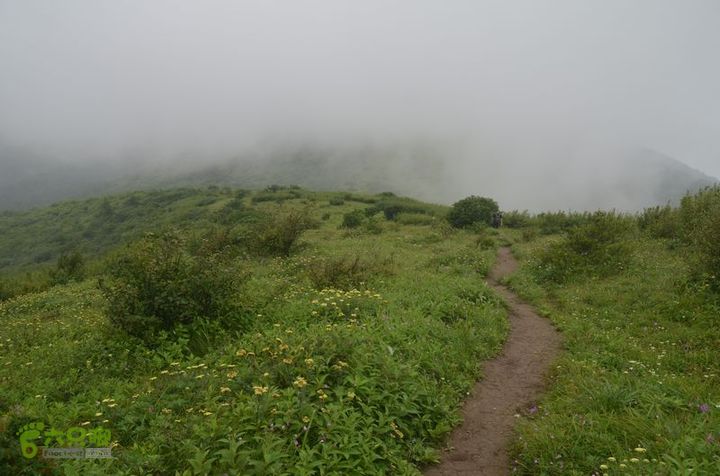 东佛沟-高山草甸-东平沟DSC_0198