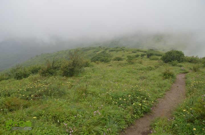 东佛沟-高山草甸-东平沟DSC_0199