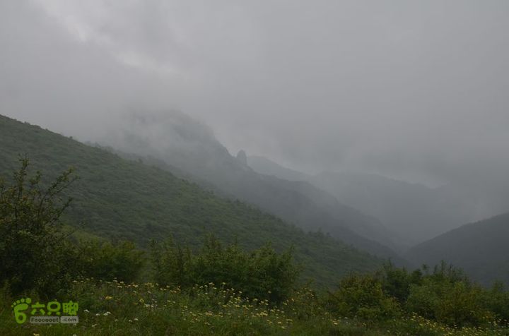 东佛沟-高山草甸-东平沟DSC_0200