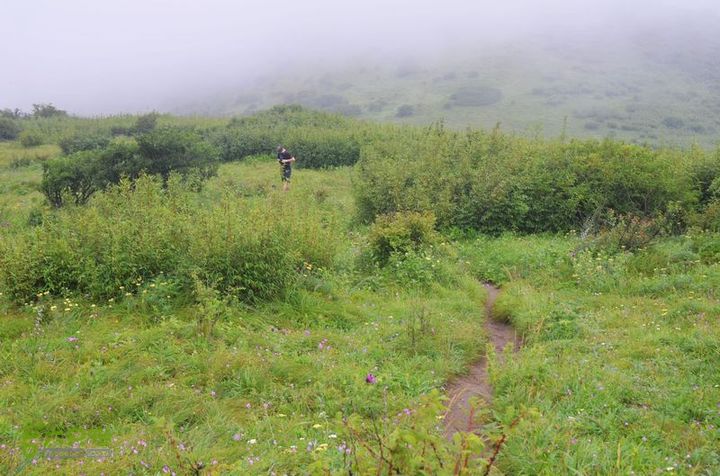 东佛沟-高山草甸-东平沟DSC_0204