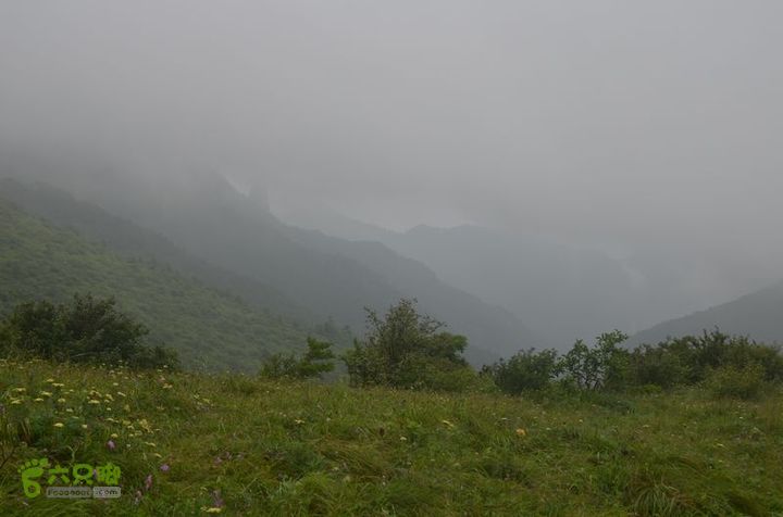 东佛沟-高山草甸-东平沟DSC_0206