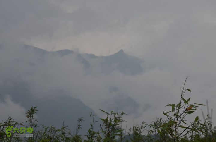 东佛沟-高山草甸-东平沟DSC_0209