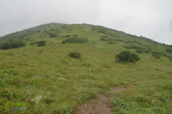 东佛沟-高山草甸-东平沟DSC_0213