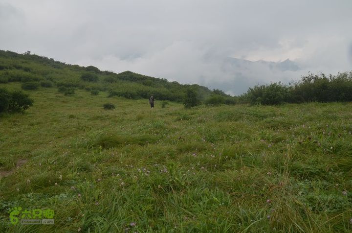 东佛沟-高山草甸-东平沟DSC_0216