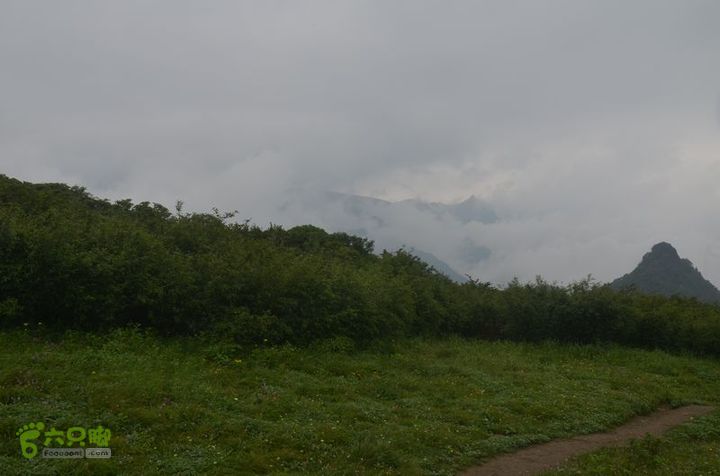 东佛沟-高山草甸-东平沟DSC_0217