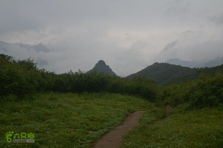 东佛沟-高山草甸-东平沟DSC_0218