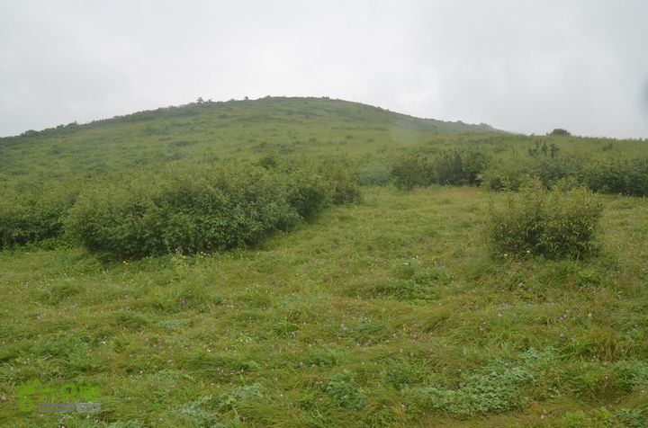 东佛沟-高山草甸-东平沟DSC_0222