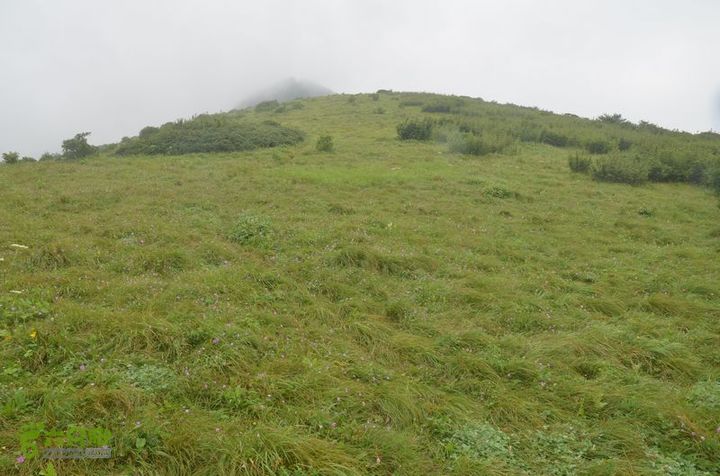 东佛沟-高山草甸-东平沟DSC_0223