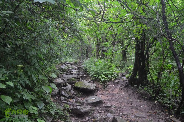 东佛沟-高山草甸-东平沟DSC_0225