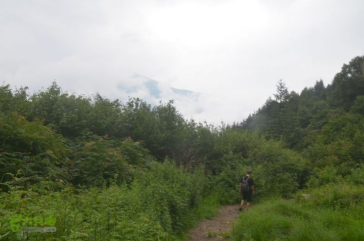 东佛沟-高山草甸-东平沟DSC_0227