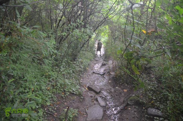 东佛沟-高山草甸-东平沟DSC_0232