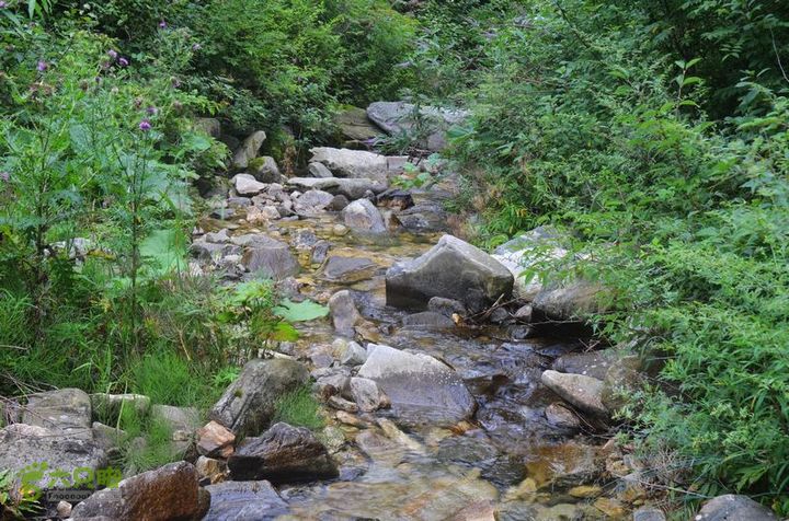 东佛沟-高山草甸-东平沟DSC_0239