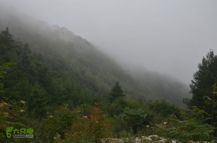 东佛沟-高山草甸-东平沟DSC_0241