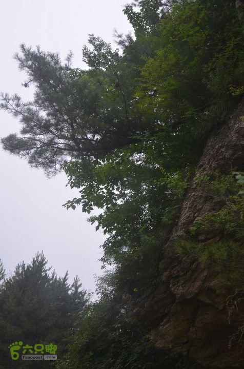 东佛沟-高山草甸-东平沟DSC_0244