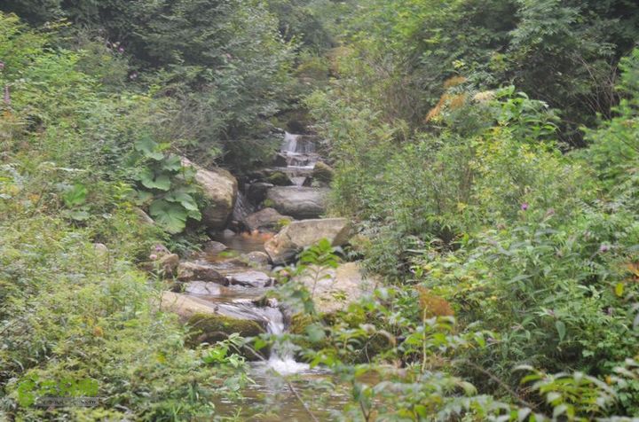 东佛沟-高山草甸-东平沟DSC_0247