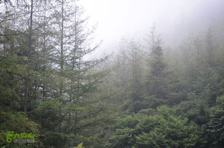 东佛沟-高山草甸-东平沟DSC_0251