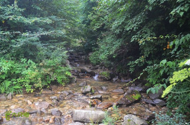 东佛沟-高山草甸-东平沟DSC_0253