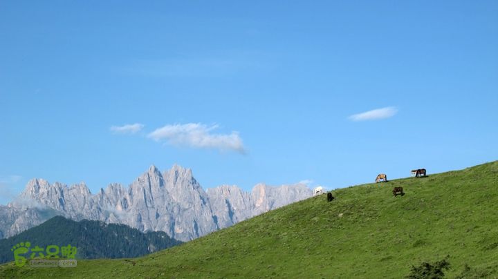 甘南行第二日-岷县-碌曲IMG_4368