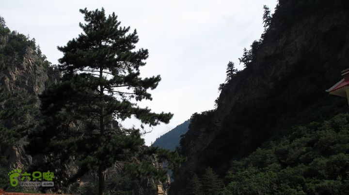 甘南行第二日-岷县-碌曲IMG_4418