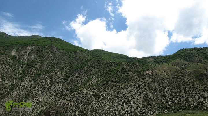 甘南行第二日-岷县-碌曲IMG_4419