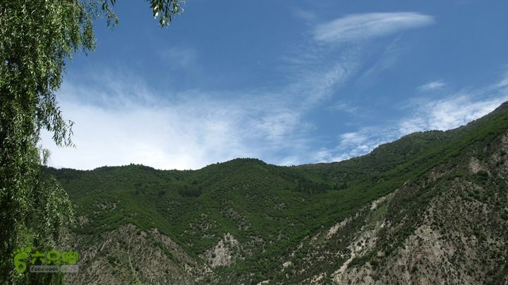 甘南行第二日-岷县-碌曲IMG_4420