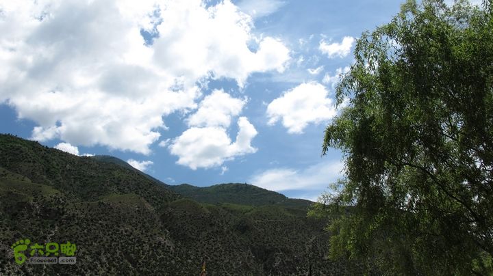 甘南行第二日-岷县-碌曲IMG_4422