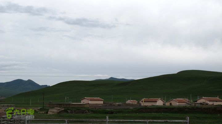 甘南行第二日-岷县-碌曲IMG_4460