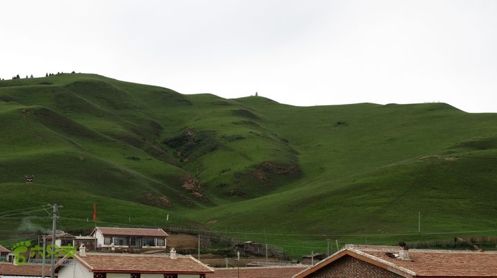 甘南行第二日-岷县-碌曲IMG_4465