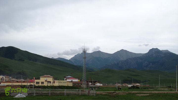 甘南行第二日-岷县-碌曲IMG_4466