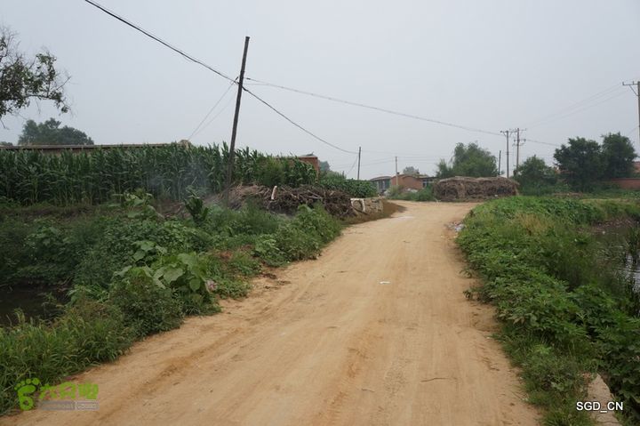 尚屯水库DSC01456-001