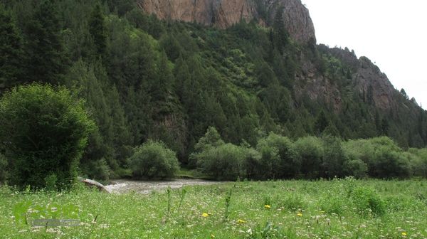 甘南行第三日-碌曲-唐克IMG_4599