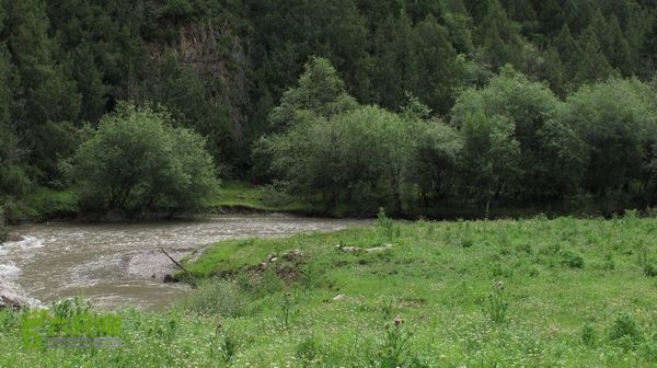 甘南行第三日-碌曲-唐克IMG_4600