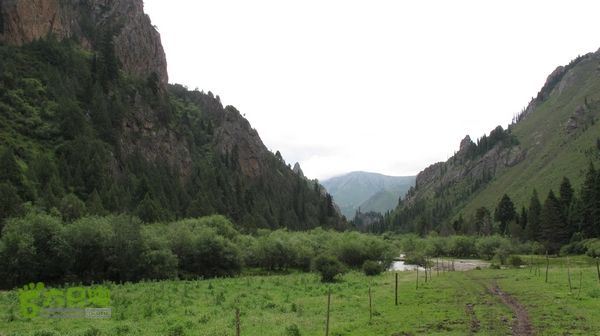 甘南行第三日-碌曲-唐克IMG_4602