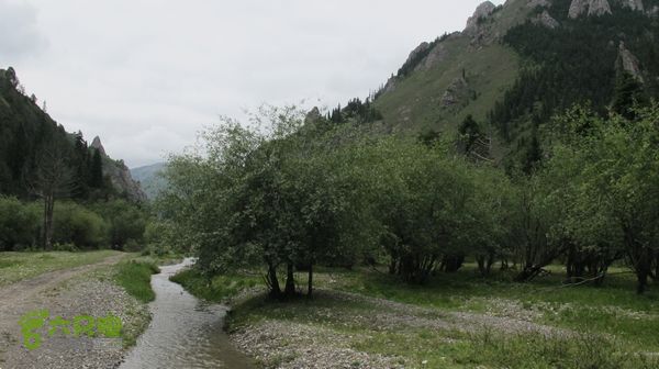 甘南行第三日-碌曲-唐克IMG_4615