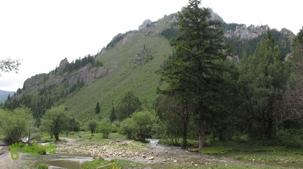 甘南行第三日-碌曲-唐克IMG_4616