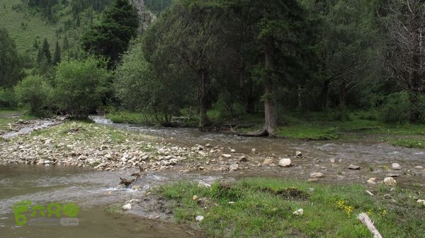 甘南行第三日-碌曲-唐克IMG_4617