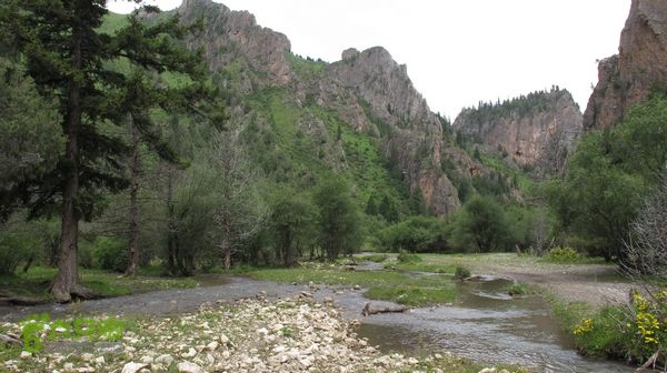 甘南行第三日-碌曲-唐克IMG_4618