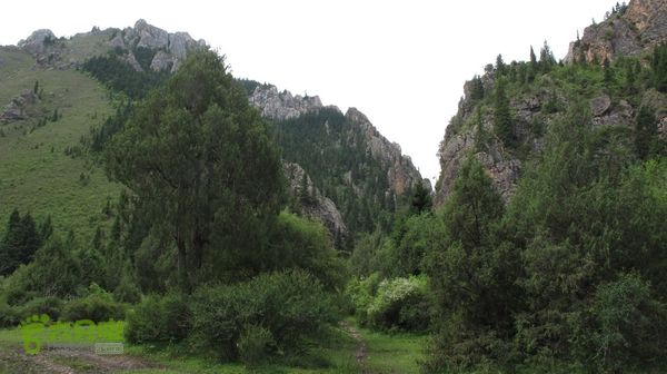 甘南行第三日-碌曲-唐克IMG_4619