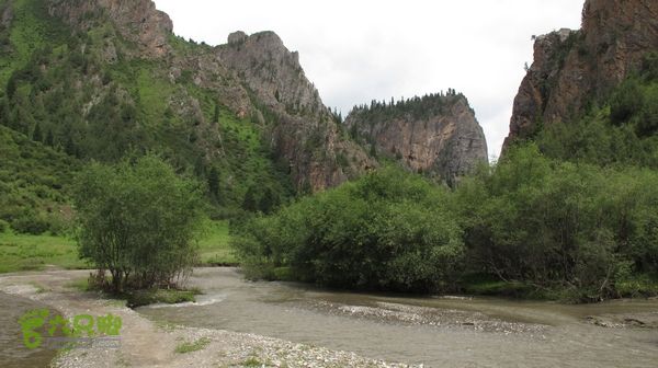 甘南行第三日-碌曲-唐克IMG_4638