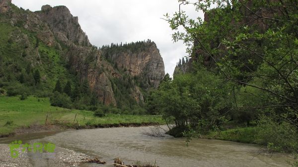 甘南行第三日-碌曲-唐克IMG_4639