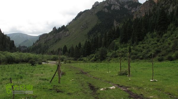 甘南行第三日-碌曲-唐克IMG_4641