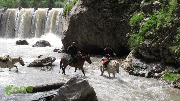 甘南行第三日-碌曲-唐克IMG_4646