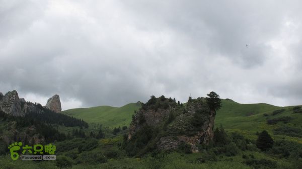 甘南行第三日-碌曲-唐克IMG_4653