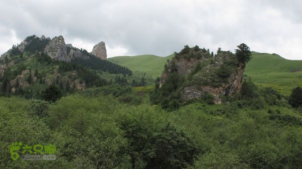 甘南行第三日-碌曲-唐克IMG_4654