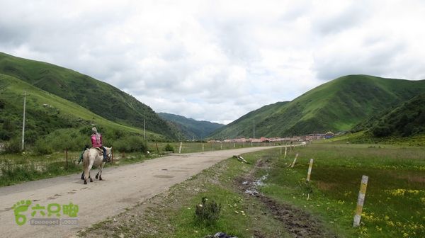 甘南行第三日-碌曲-唐克IMG_4661