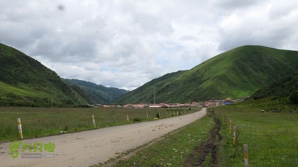 甘南行第三日-碌曲-唐克IMG_4662
