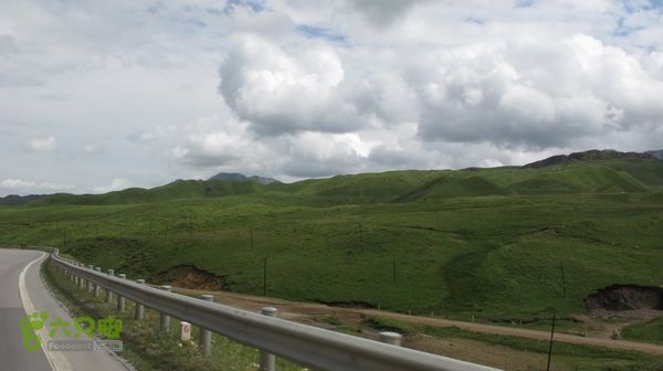 甘南行第三日-碌曲-唐克IMG_4674