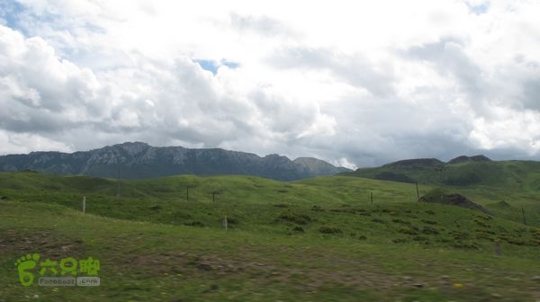 甘南行第三日-碌曲-唐克IMG_4676