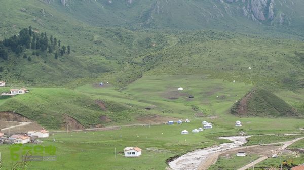 甘南行第三日-碌曲-唐克IMG_4689